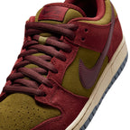 Nike SB Mens Dunk Low Pro Shoes
