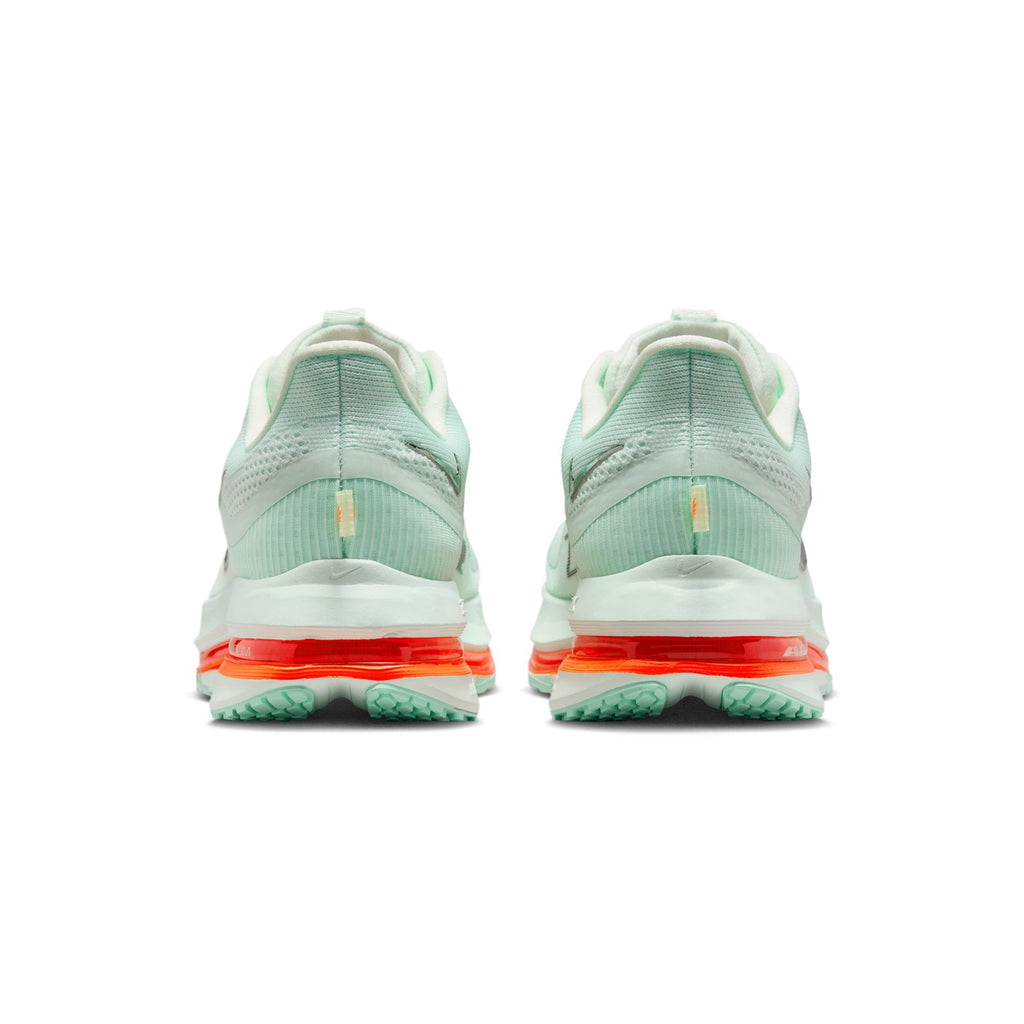Nike Mens Pegasus Premium Shoes