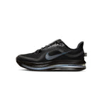 Nike Womens Pegasus Premium Shoes