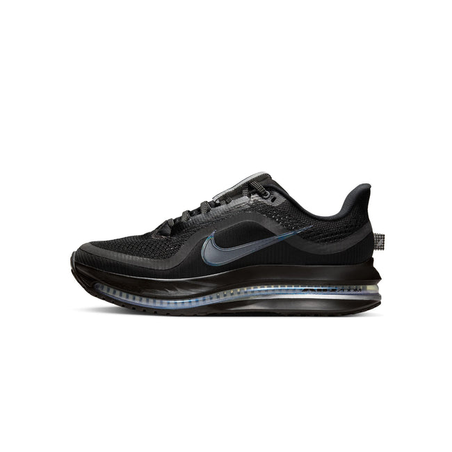 Nike Womens Pegasus Premium Shoes Hover Image