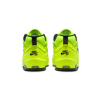 Nike SB Mens Air Max Ishod Premium Shoes