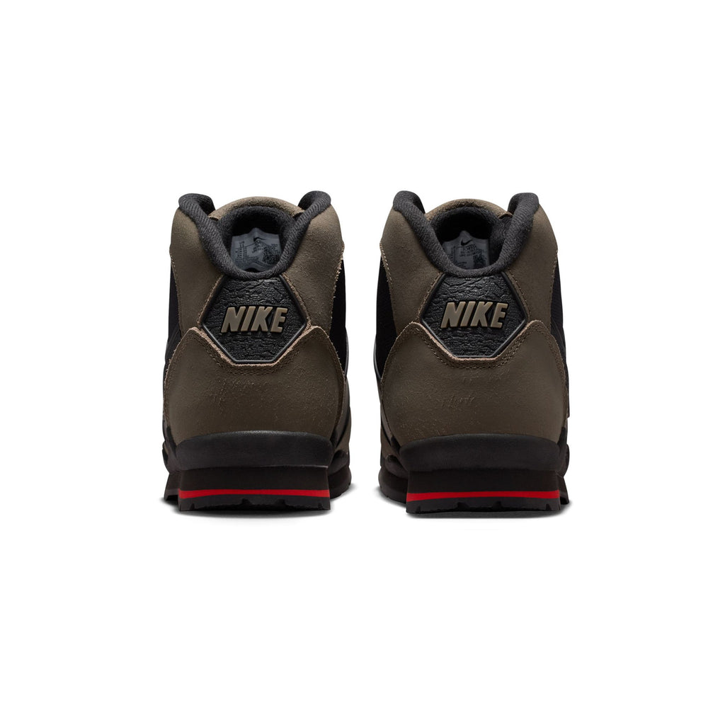 Nike Mens Baltoro Shoes