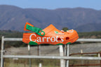 Carrots by Anwar Carrots x Crocs - Orange
